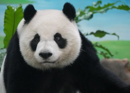保濕面霜的重要性與有效選擇策略