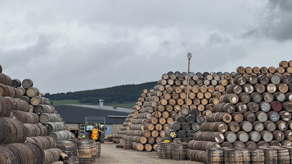 迷你倉的多面向分析