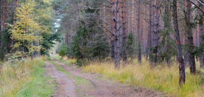 藍十字旅遊保險：一次意外旅程中的守護者