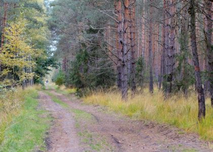 藍十字旅遊保險：一次意外旅程中的守護者