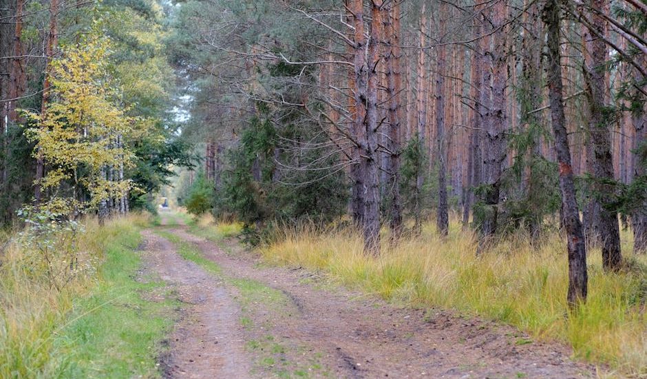 藍十字旅遊保險：一次意外旅程中的守護者
