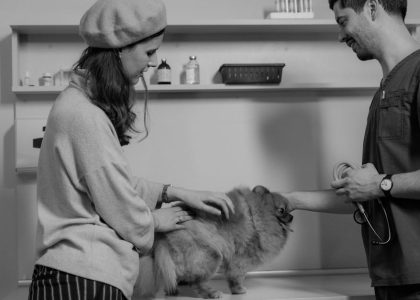 動物急症的關鍵識別與應對策略